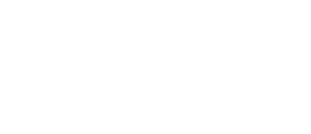 Polisoft Logo 2025-1 beyaz